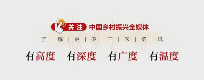熊猫体育网站：373万人次打卡大同“有看头”