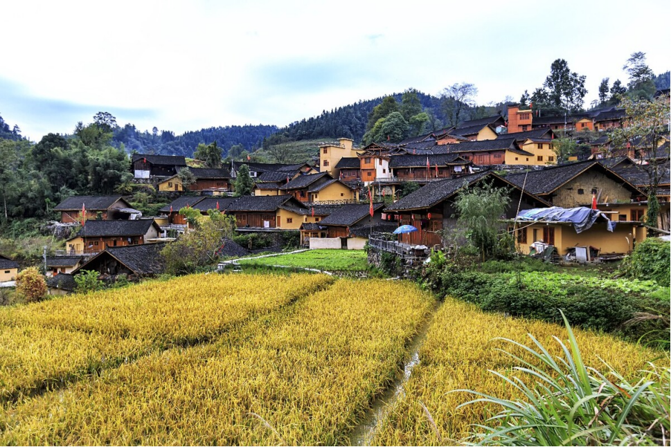 熊猫体育网站：世界“最佳旅游乡村”丨湖南十八洞村