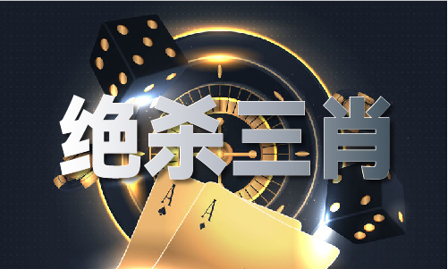 熊猫体育平台：2024澳门一码中精准一码免费中特