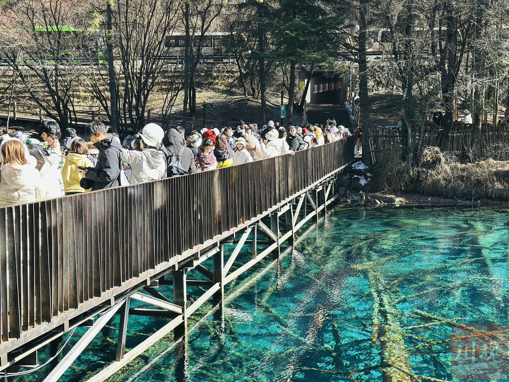 从“雪”瘾到“花”热四川持续以文旅新融合新场景激发新增长丨奋力谱写中国式现代化四