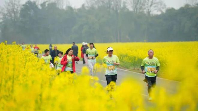 生态价值的“崇州算式”：用生态“流量”撬动乡村振兴新支点