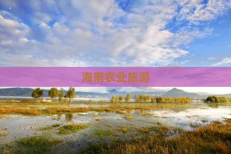 海南农业旅游-2024旅游景点
