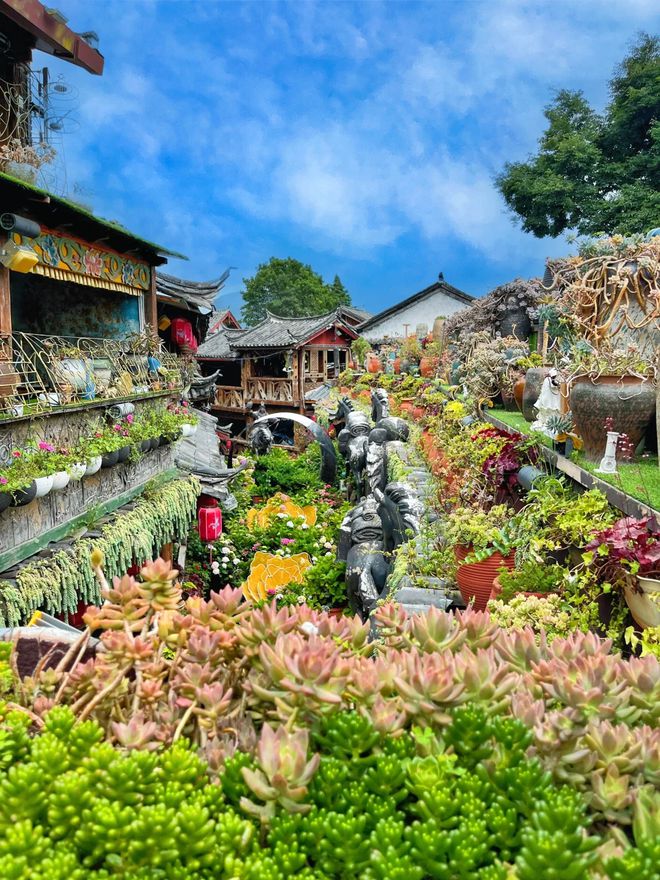 2024云南旅游七大必玩景点攻略