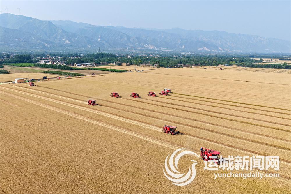 山水相依水城共融向新而生逐绿而行(图9)