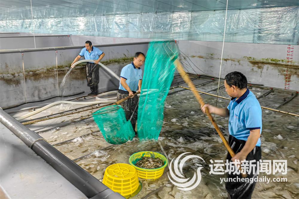 山水相依水城共融向新而生逐绿而行(图15)