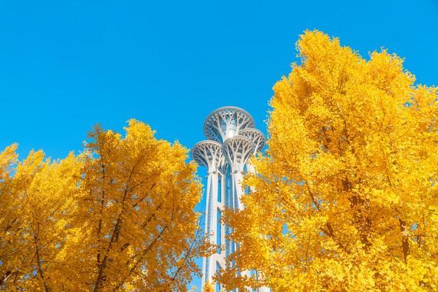 2025中国十大个5A景区好评爆棚！第一个实至名归