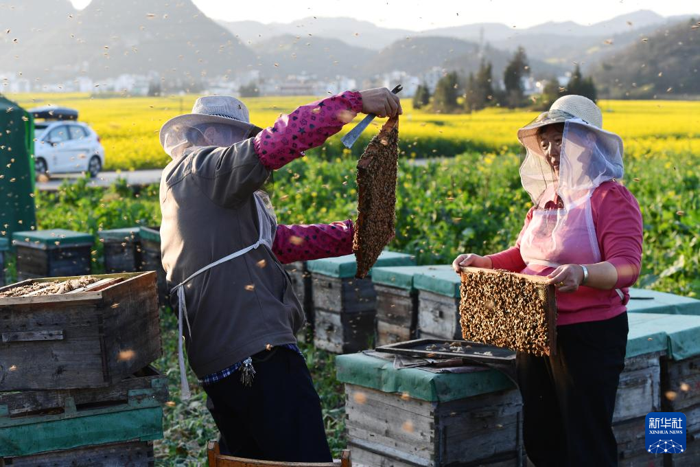 熊猫体育网站：content=te