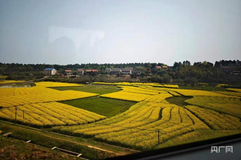 永州市零陵区：村美业兴百姓富绘就和美乡村新画卷