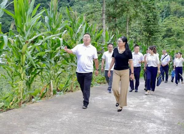 熊猫体育：同步和美小康路共绘乡村振兴图达州银行召开2025年驻村工作现场会举办“