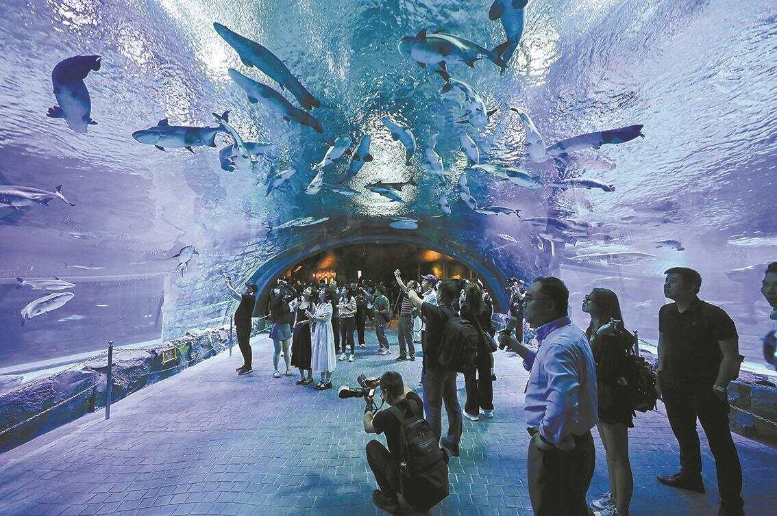 熊猫体育网站：2024广东省景区有哪些大事发生？盘点来了