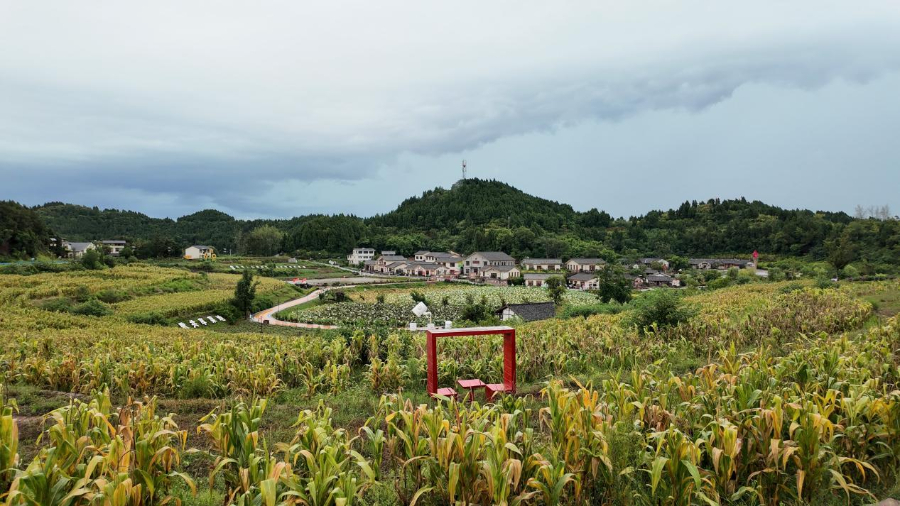 熊猫体育：活力中国调研行丨记者手记：田园间奏响农文旅交响曲