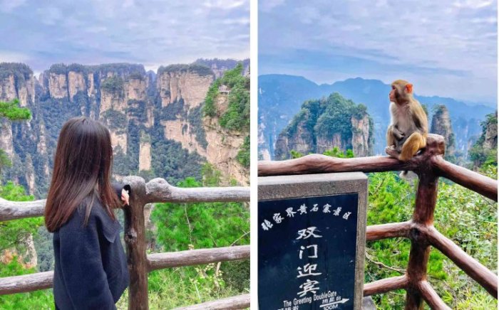 熊猫体育：近期打算去张家界旅游。玩几天合适？怎么安排合理？