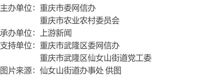 渝见好“村”光重山灯语:武隆区仙女山街道荆竹村(图1)