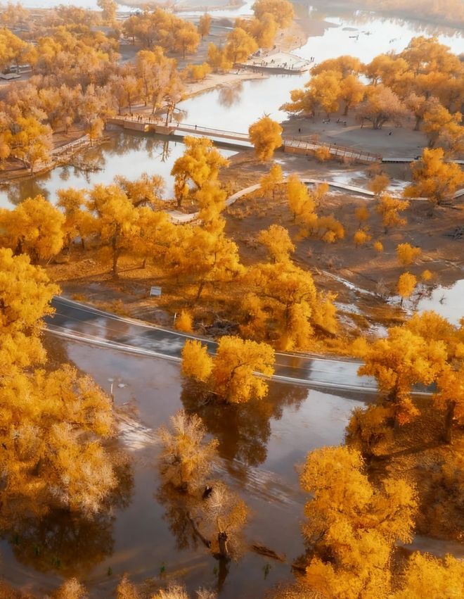 熊猫体育：额济纳旗胡杨林最佳观赏时间+必玩景点旅游攻略