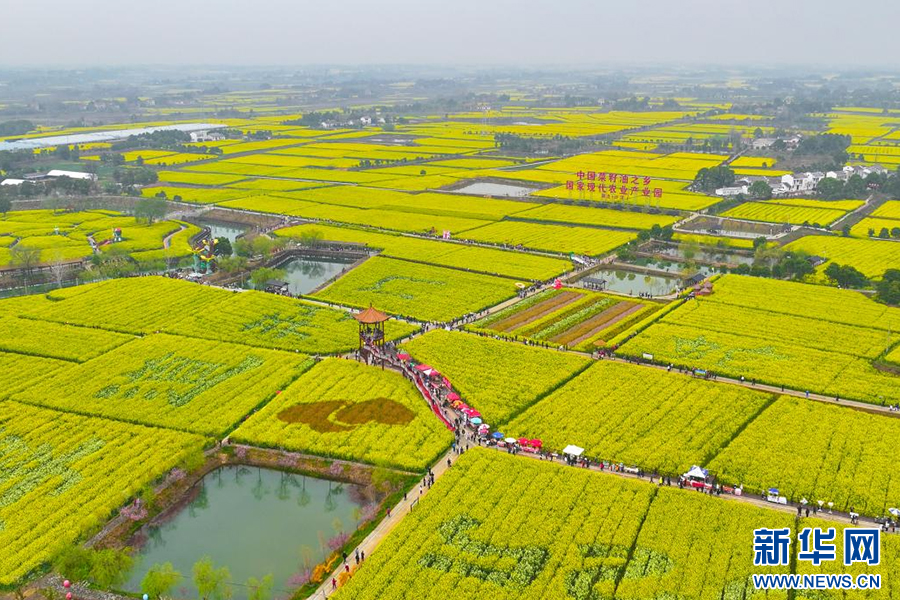 熊猫体育：divdata=datasource：20250917d4f718fc