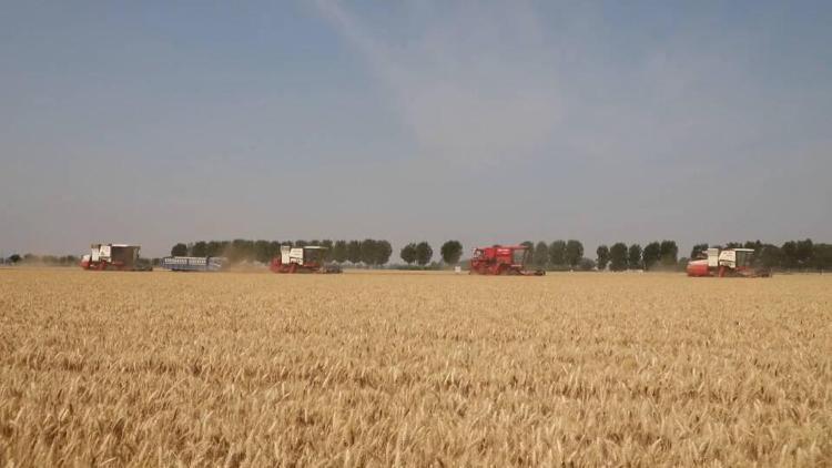 丰收不止于粮满仓