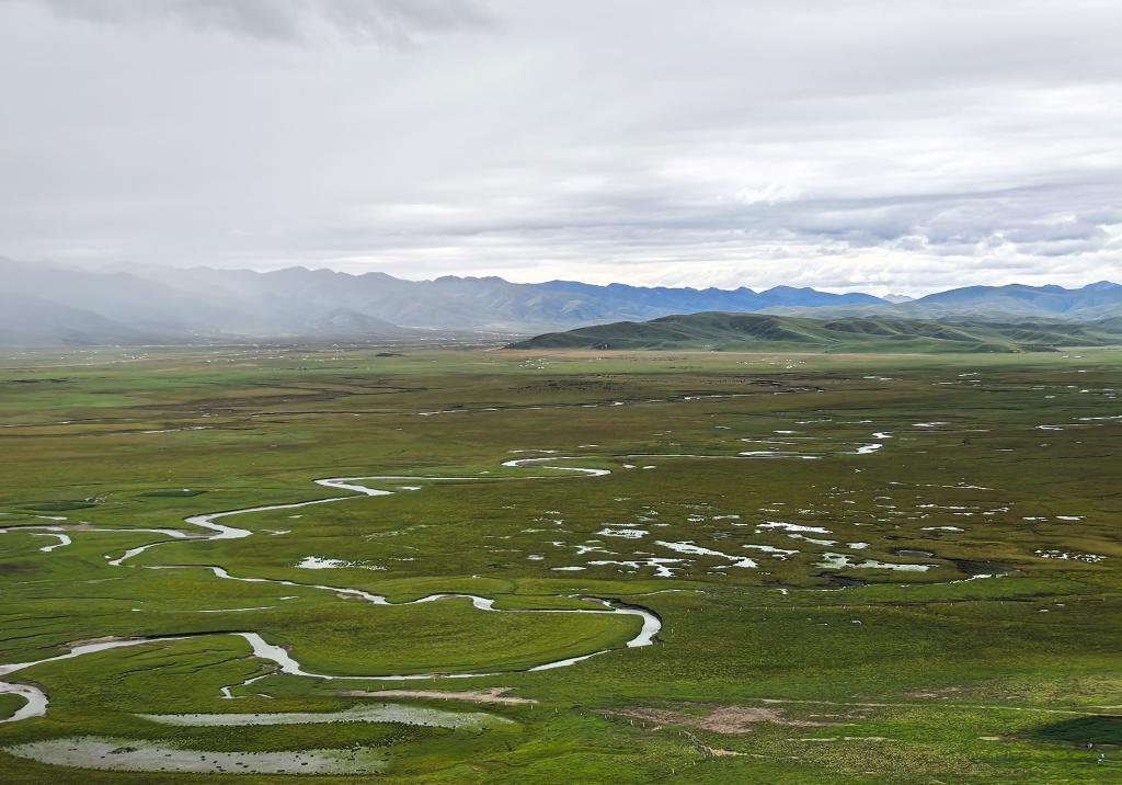 熊猫体育网站：三个小村庄映照黄河之变-新华网