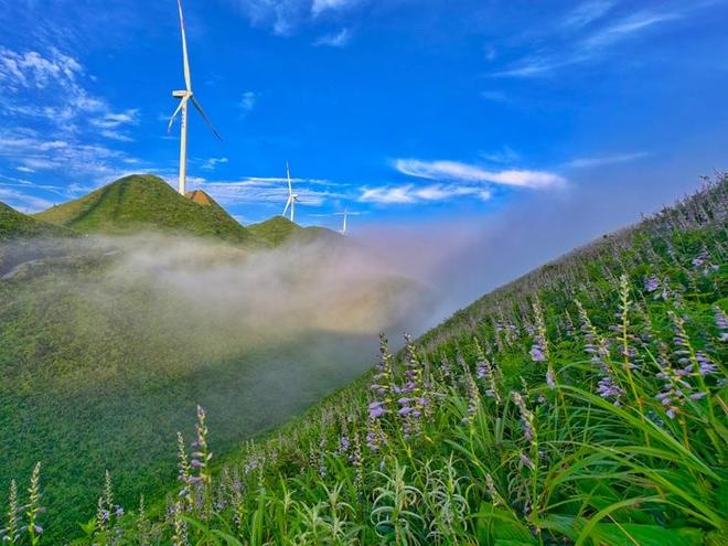 贵州金沙:“全域旅游”绽新颜(图4)