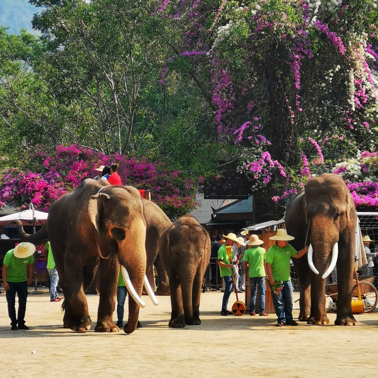 2024年春节去哪玩寒假值得游玩的地方有哪些(图2)