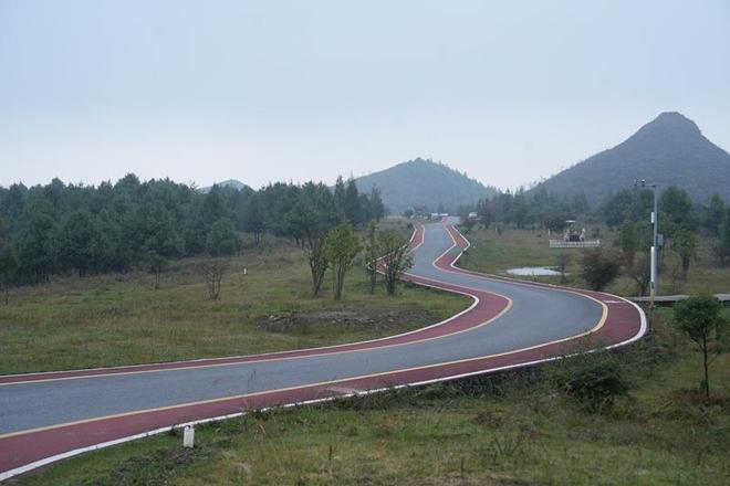 贵州百里杜鹃：“四好农村路”推动旅游经济高质量发展