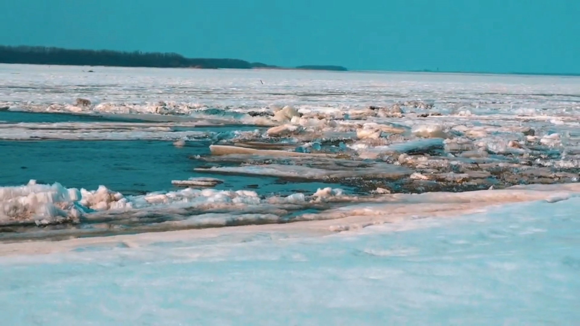 熊猫体育:生态改善助江川大米香飘全国(图1)