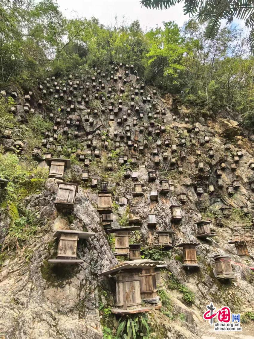 熊猫体育网站:高舜礼:神农架的旅游应重在“神”上发力(图5)