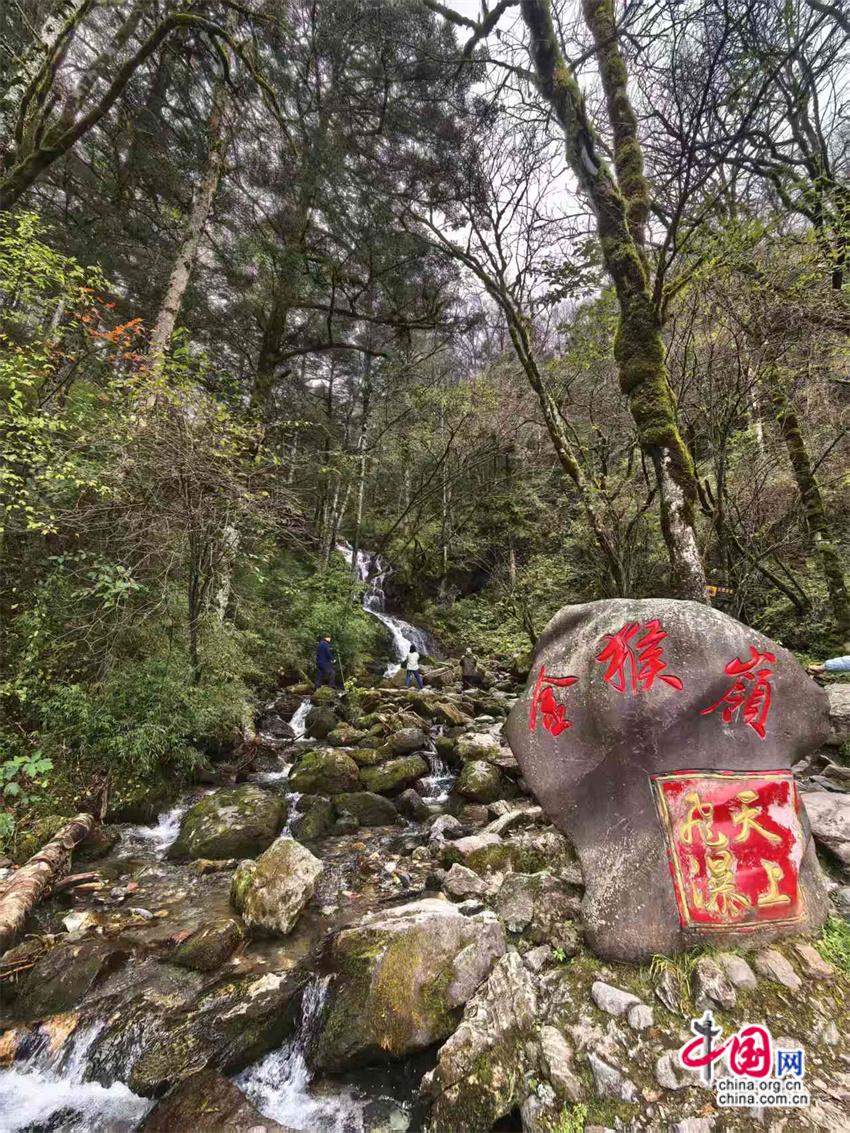 熊猫体育网站:高舜礼:神农架的旅游应重在“神”上发力(图8)