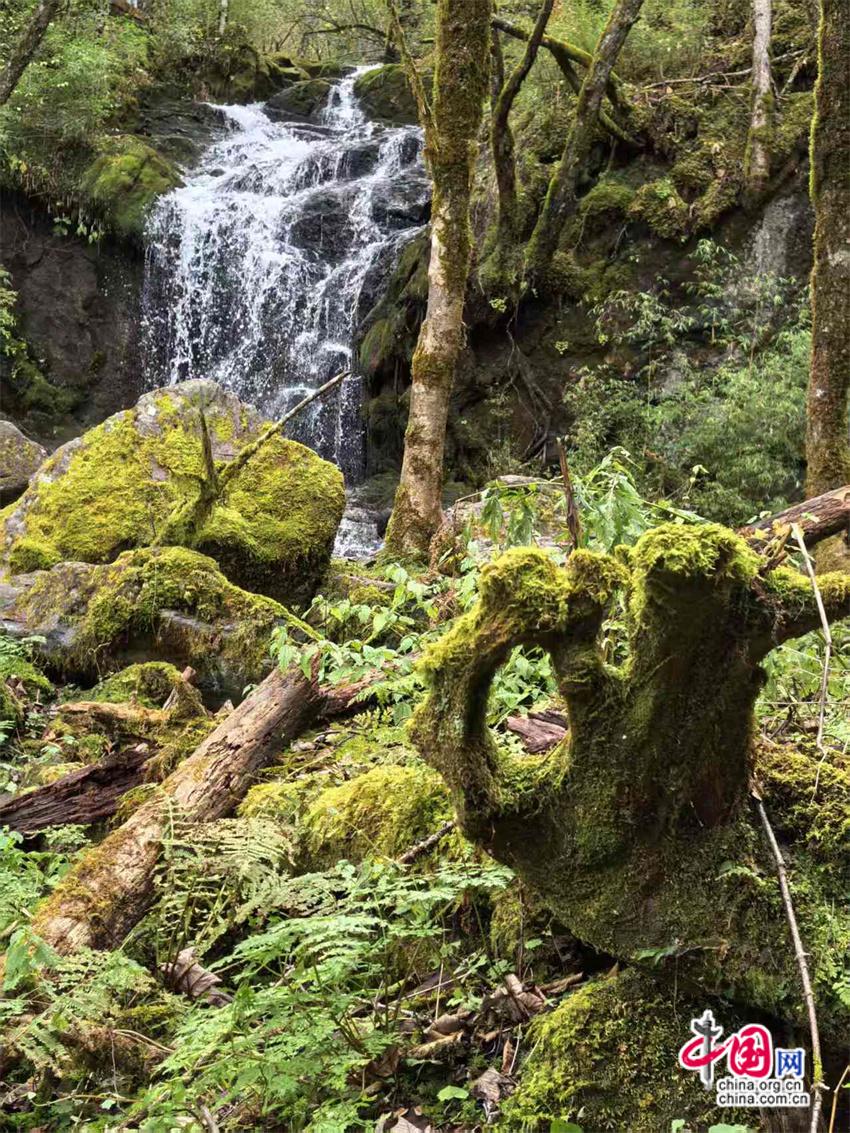 熊猫体育网站:高舜礼:神农架的旅游应重在“神”上发力(图9)