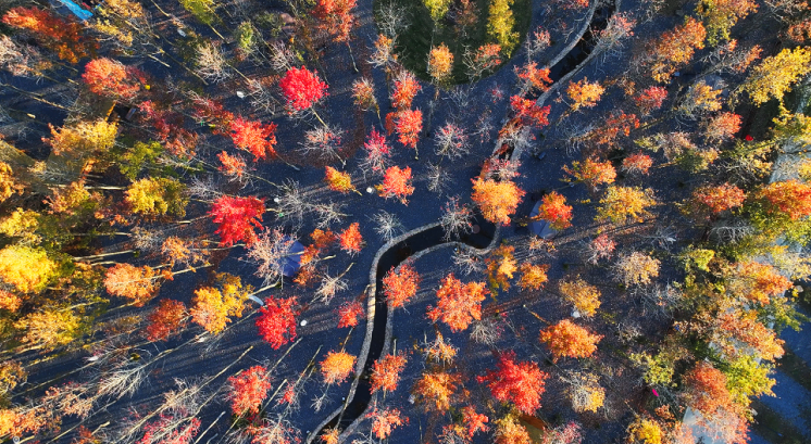 熊猫体育平台：东至：皖赣交界处