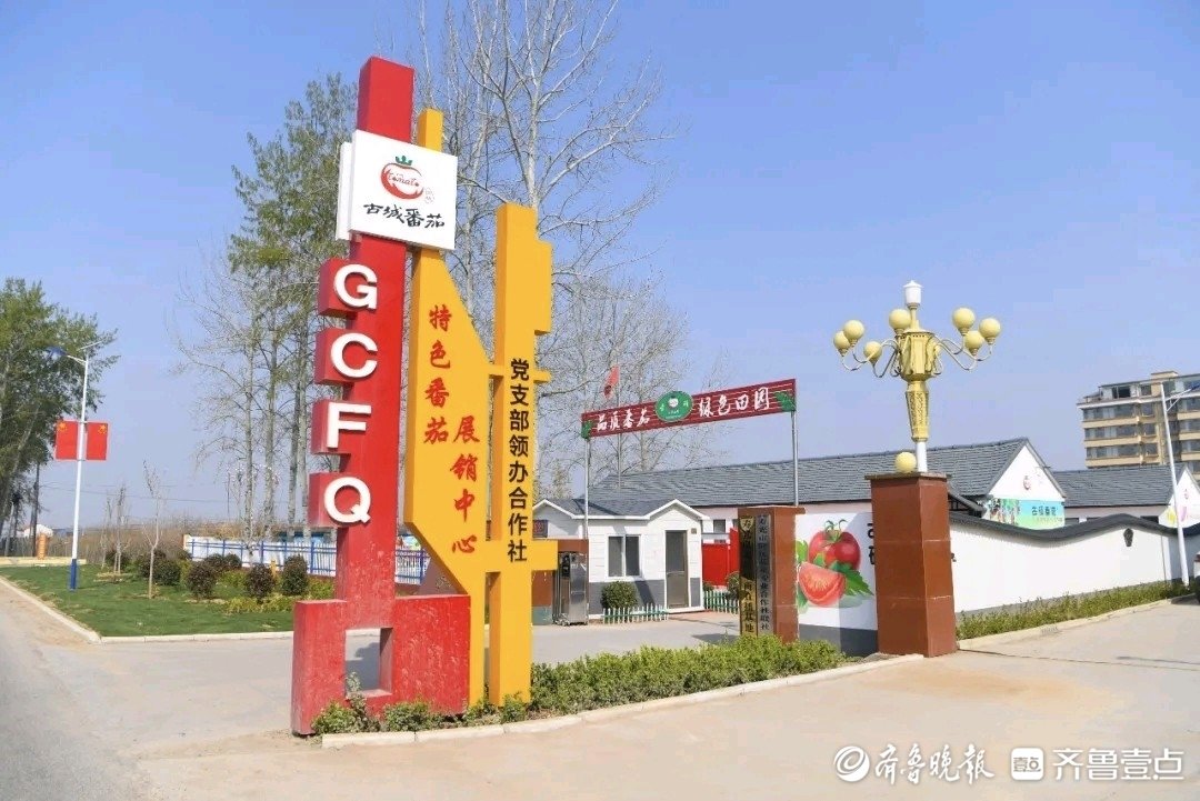 山东破题片区化：乡村“手拉手”共富路“步步宽”