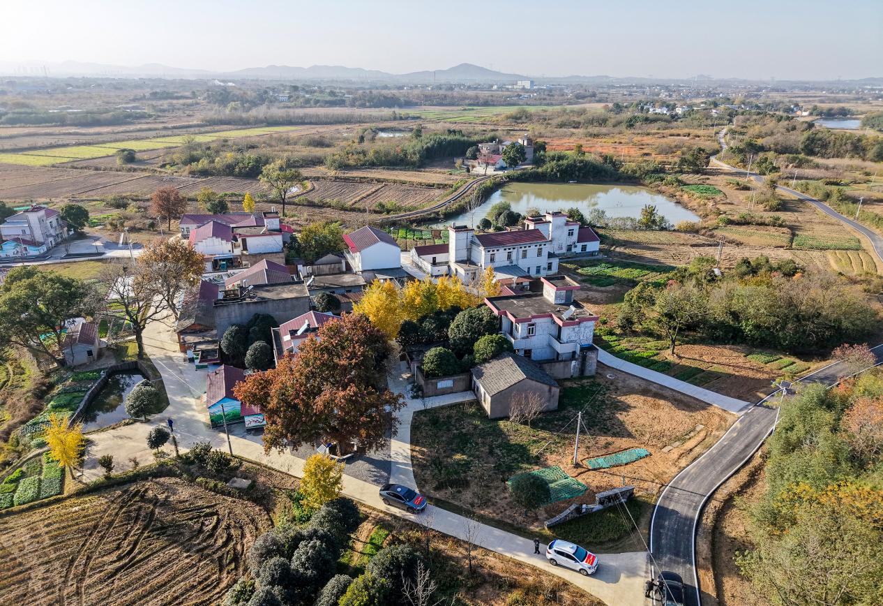 安徽庐江：美丽乡村庭院“小景”促“大变”
