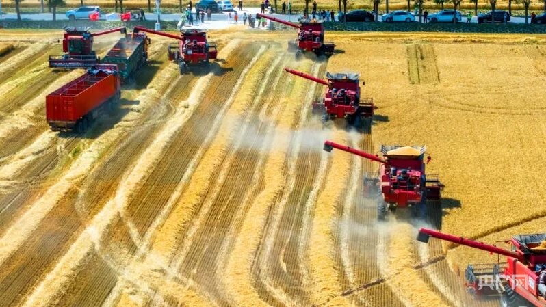 “大京郊”融入“大城市”北京绘就乡村振兴新画卷