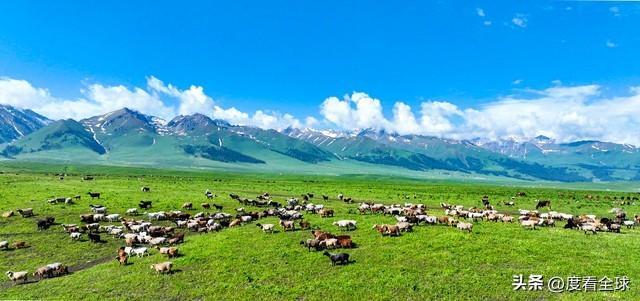 熊猫体育平台:跟着IP去旅行!这些被影视游戏带火的城市现在去还来得及吗?(图11)
