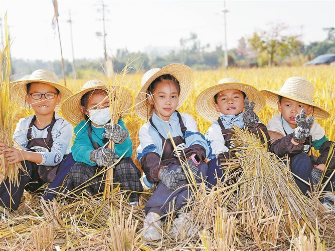 厦门：稻田咖啡馆“煮”出乡村振兴新味道