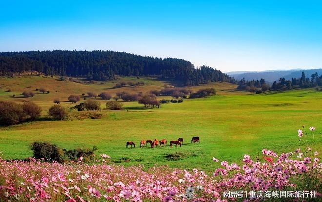 重庆春季旅游攻略大全：十大必去景点、三日游路线一网打尽！