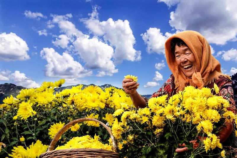 青島嶗山：山海繪就共富卷奏響“兩山”轉化新樂章