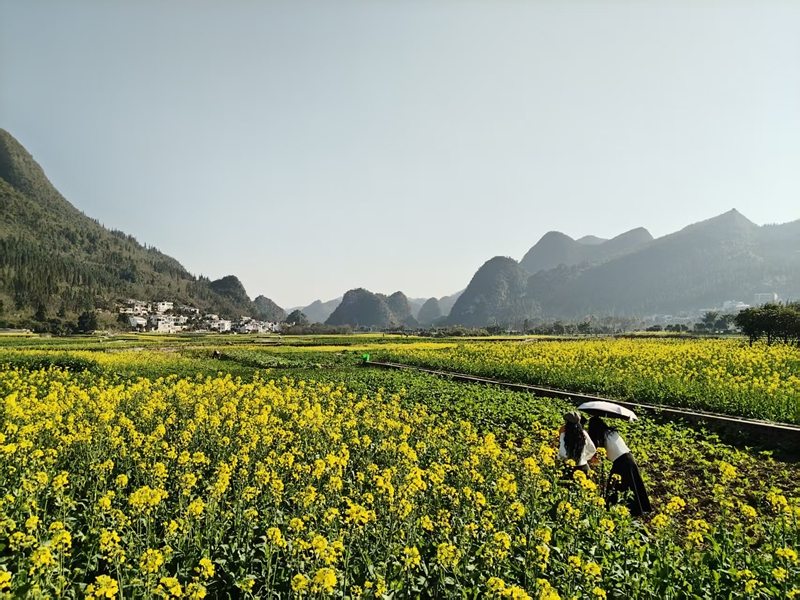 兴义：山水为媒绘就民族团结壮美画卷