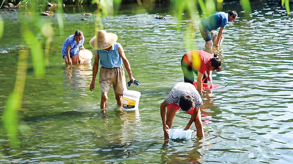蹲点十村看乡村振兴再出发